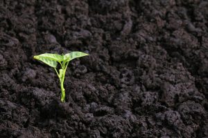 Effect of humic acid on soil formation and fertility.