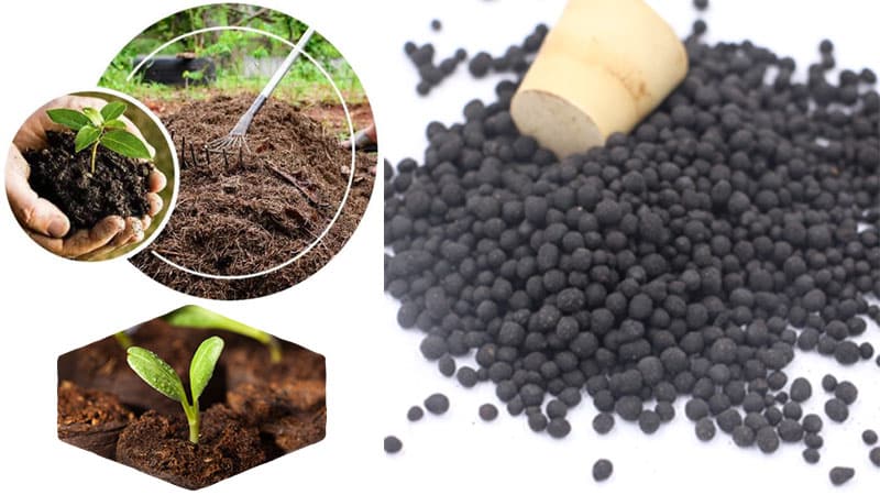humic acid soil amendment